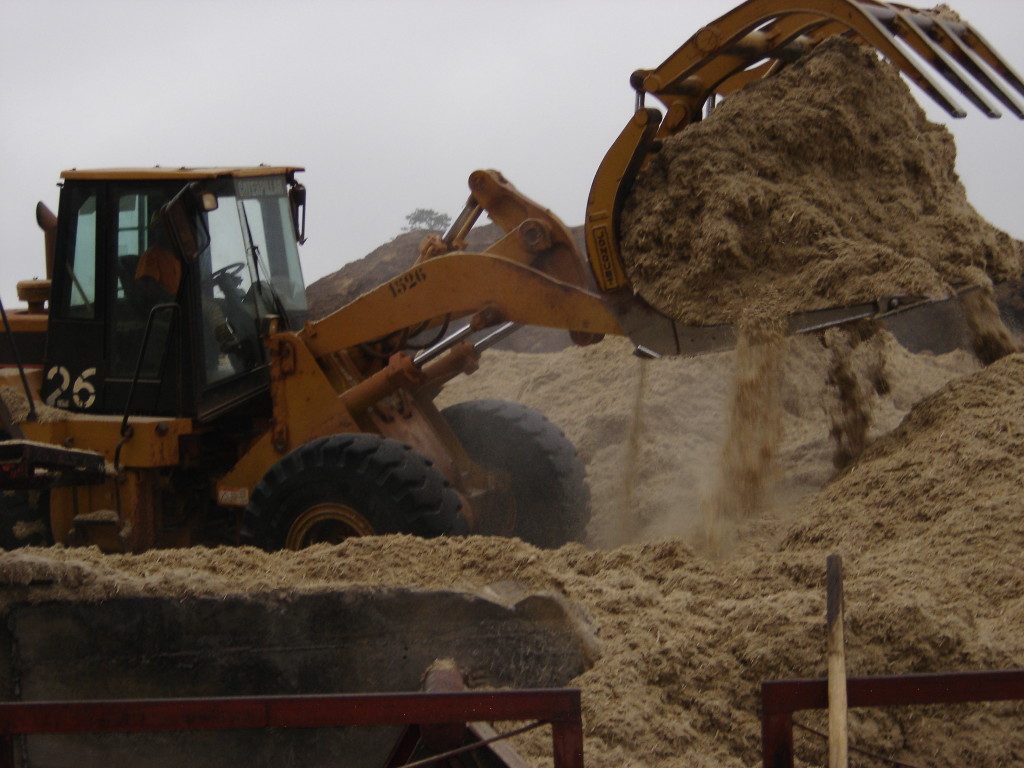 2.3.2-bagasse