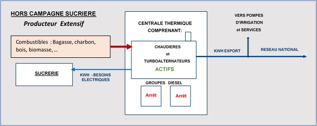 Centrale de cogeneration - hors campagne sucriere - producteur extensif