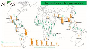 Carte Producteurs de sucre de canne 2016